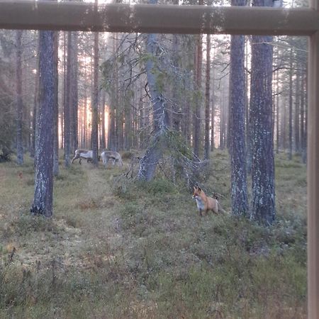 Yllaes Nilimaja Apartman Ylläsjärvi Kültér fotó